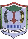 Logobinjai.jpg